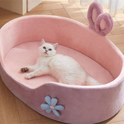 chat allonge dans panier chat