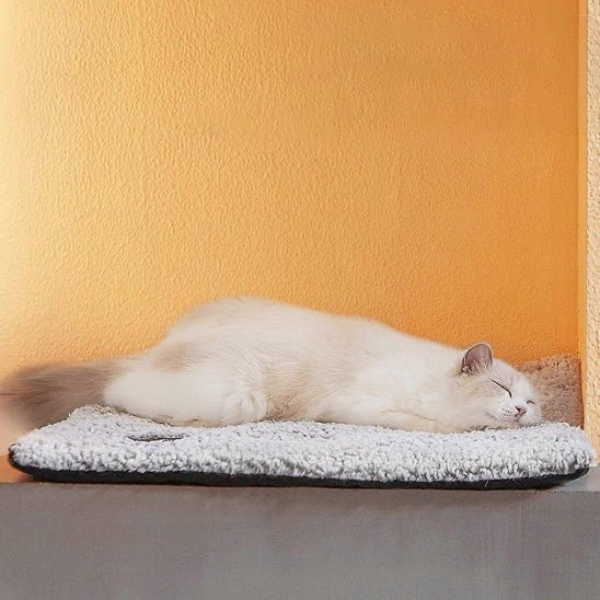 Coussin Chat | Doudou Deluxe - Bien - ĂȘtre du chat