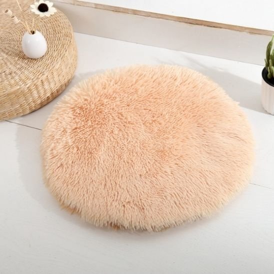 Coussin chat | Ergonomique - Bien - ĂȘtre du chat