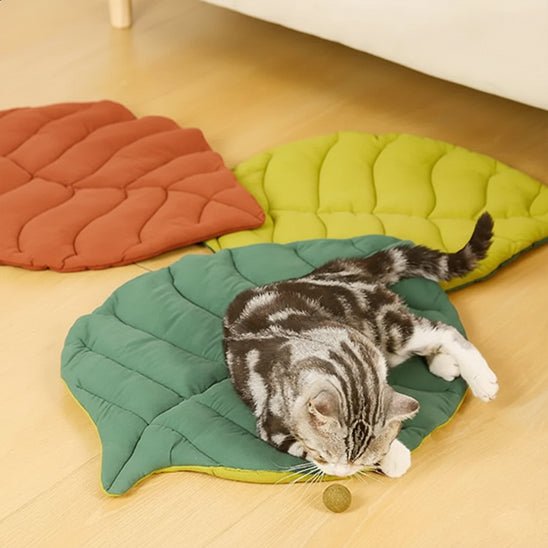 coussin chat | Royal Confort - Bien - ĂȘtre du chat