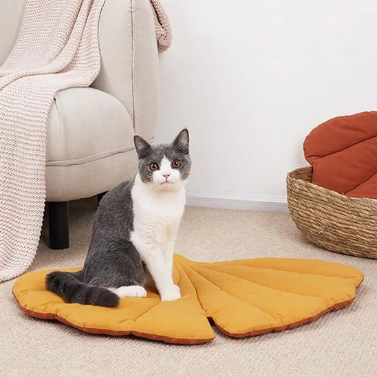 coussin chat | Royal Confort - Bien - ĂȘtre du chat