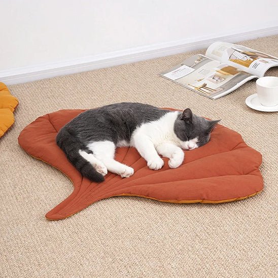 coussin chat | Royal Confort - Bien - ĂȘtre du chat