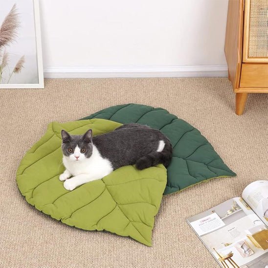 coussin chat | Royal Confort - Bien - ĂȘtre du chat