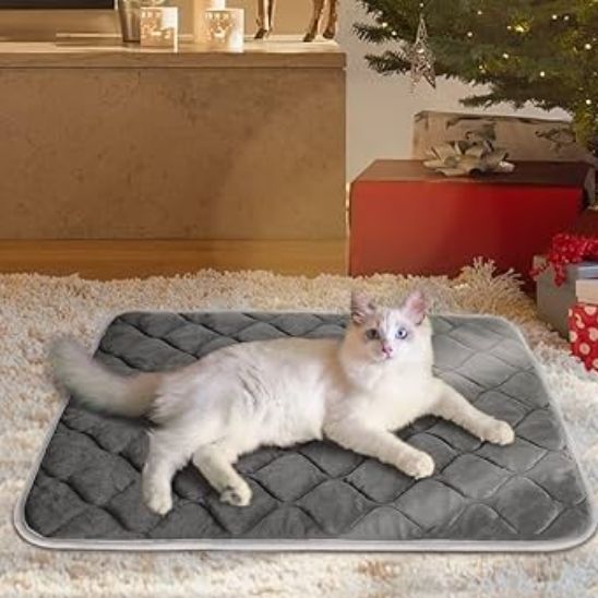 coussin chat | Ultra - doux - Bien - ĂȘtre du chat
