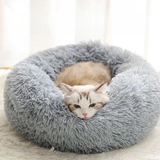 Coussin Chat | UltraConfort - Bien - ĂȘtre du chat