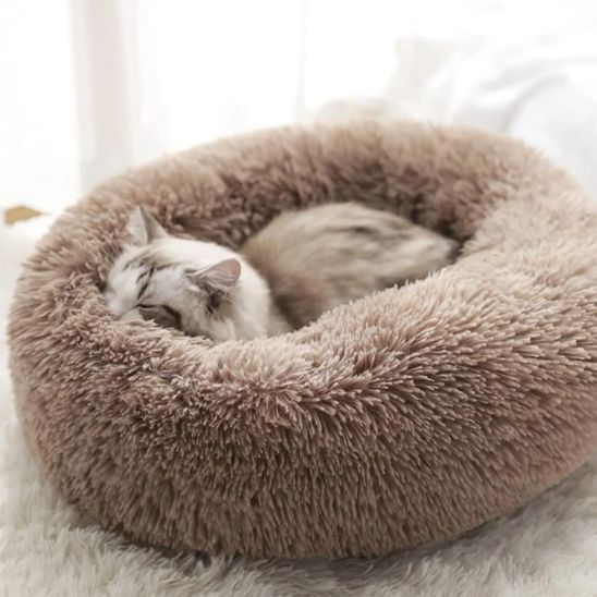 Coussin Chat | UltraConfort - Bien - ĂȘtre du chat