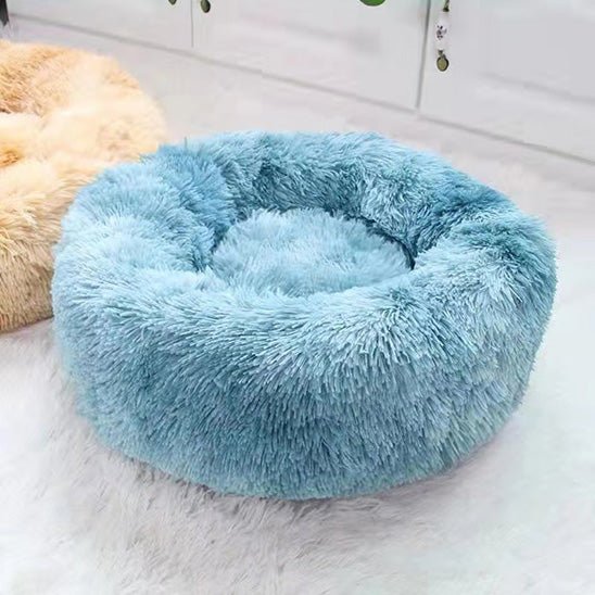 Coussin Chat | UltraConfort - Bien - ĂȘtre du chat