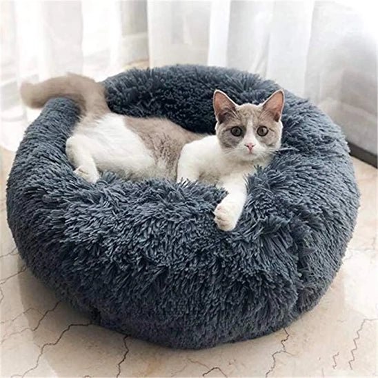 Coussin Chat | UltraConfort - Bien - ĂȘtre du chat