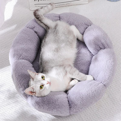 Coussin pour chat | Ultra - Doux - Bien - ĂȘtre du chat