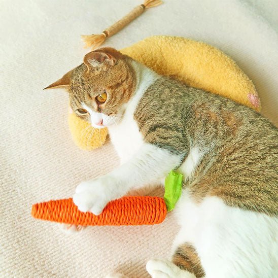 Coussin pour Chat | UltraDoux - Bien - ĂȘtre du chat