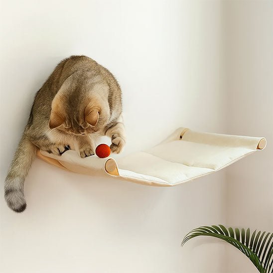 Hamac chat | Cosy Doux - Bien - ĂȘtre du chat