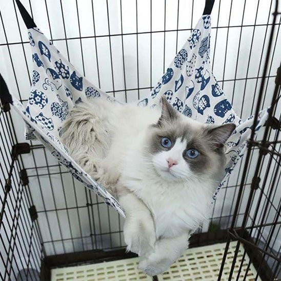 Hamac pour chat | Cocon Douillet - Bien - ĂȘtre du chat