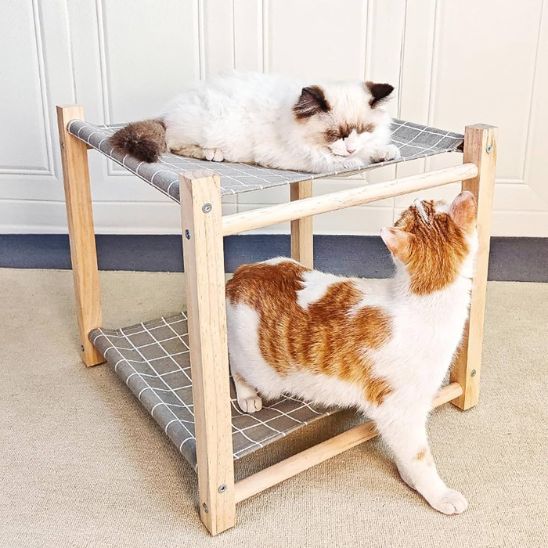 Hamac pour chat | Comfort Deluxe - Bien - ĂȘtre du chat