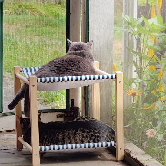 Hamac pour chat | Comfort Deluxe - Bien - ĂȘtre du chat