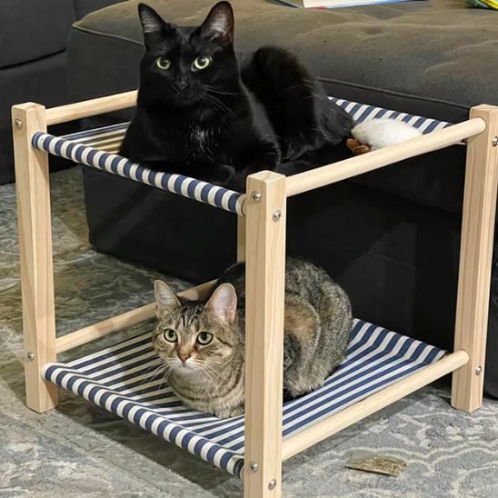 Hamac pour chat | Comfort Deluxe - Bien - ĂȘtre du chat