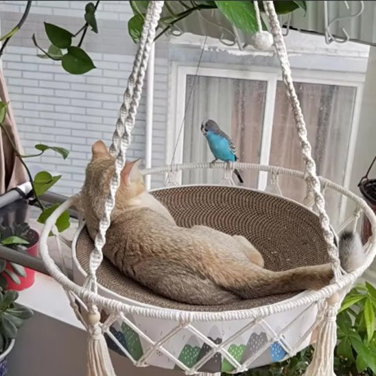 Hamac pour chat | Confort Absolu - Bien - ĂȘtre du chat