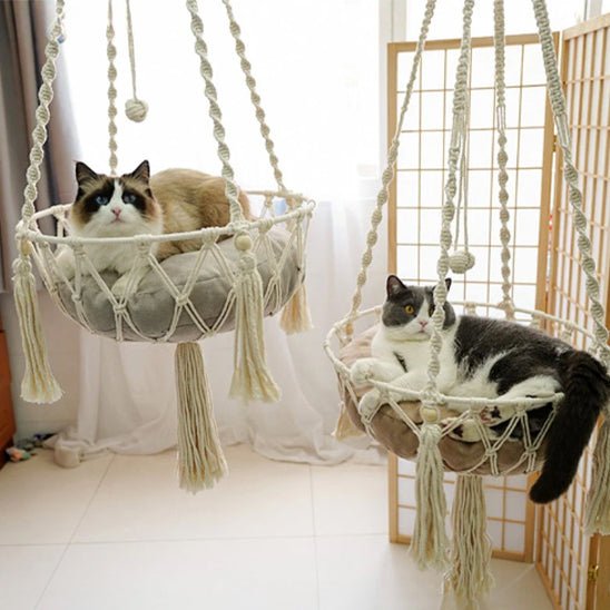 Hamac pour chat | Confort Absolu - Bien - ĂȘtre du chat