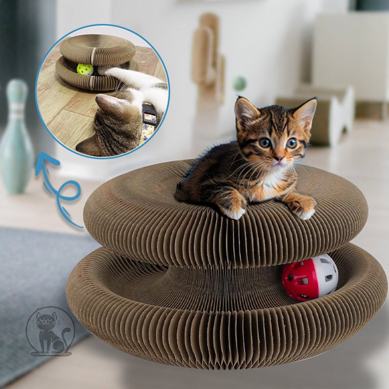 MagicOrgue™ | Jeux grattoir pliable pour chat - Bien-être du chat