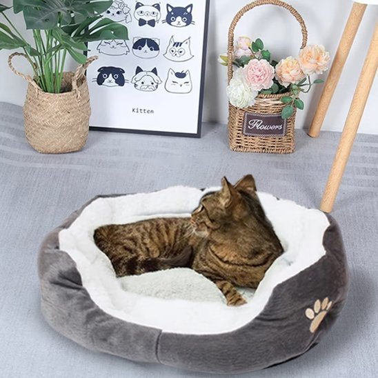 Panier Chat | DodoFélin - Bien - être du chat