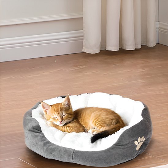 Panier Chat | DodoFélin - Bien - être du chat