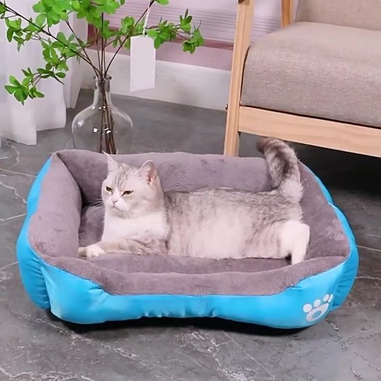 Panier Chat | Douillet Design - Bien - ĂȘtre du chat
