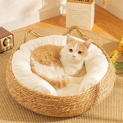panier osier chat cozy home avec chat aux yeux percants