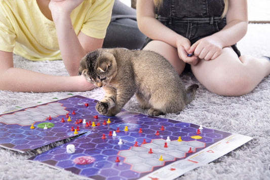 Jouet pour chat : Divertissement assuré pour votre félin dans le confort ! - Bien-être du chat