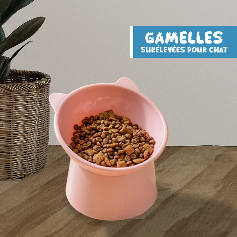 CatBowl ™ | Gamelle surélevée anti-étouffement pour chat.