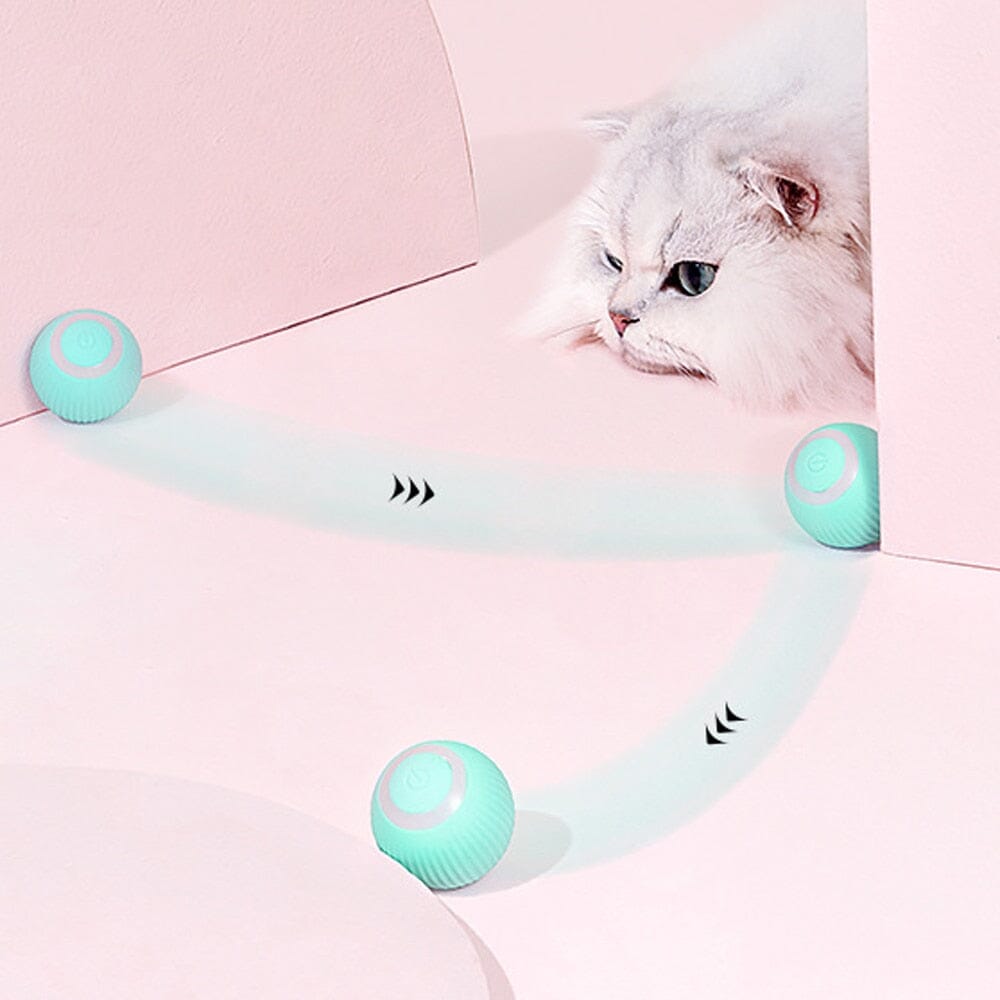 AutoBall™ - Jouet électrique interactifs pour chats - Bien-être du chat