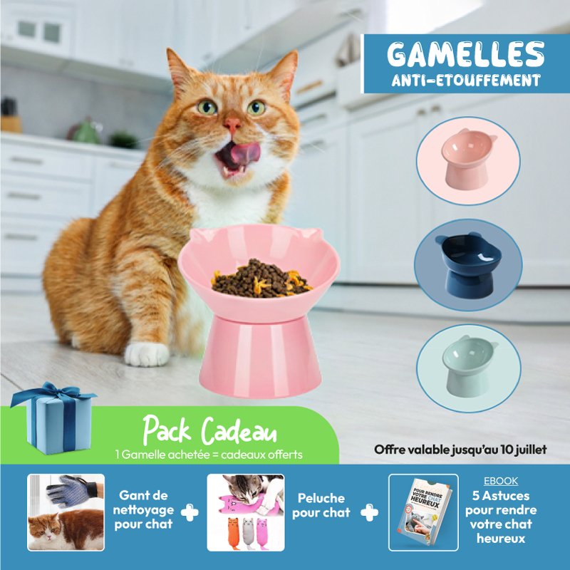 CatBowl ™ | Gamelle surélevée anti - étouffement pour chat. - Bien - être du chat