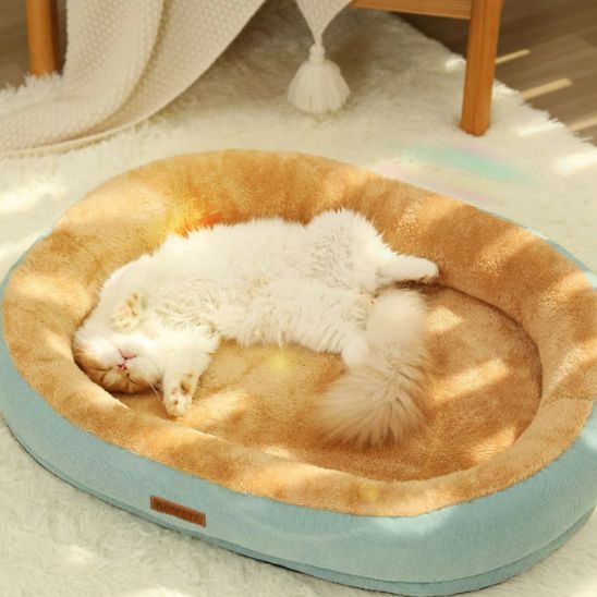Coussin Chat | DouceurElégante - Bien - être du chat