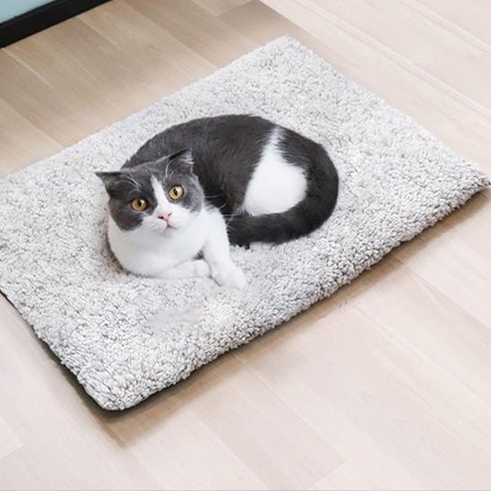 Coussin Chat | Doudou Deluxe - Bien - être du chat