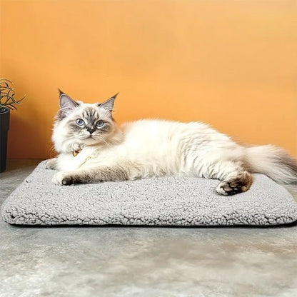 Coussin Chat | Doudou Deluxe - Bien - être du chat