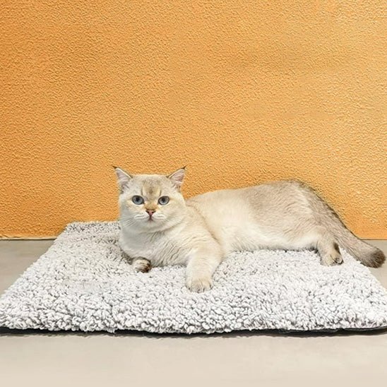 Coussin Chat | Doudou Deluxe - Bien - être du chat