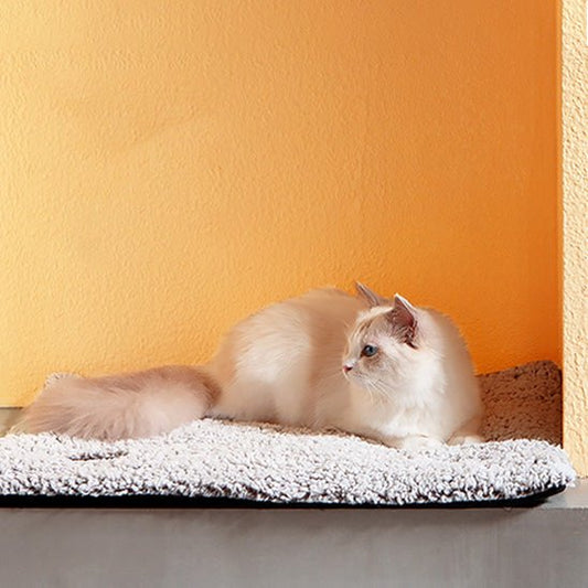 Coussin Chat | Doudou Deluxe - Bien - être du chat