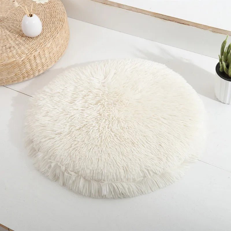 Coussin chat | Ergonomique - Bien - être du chat