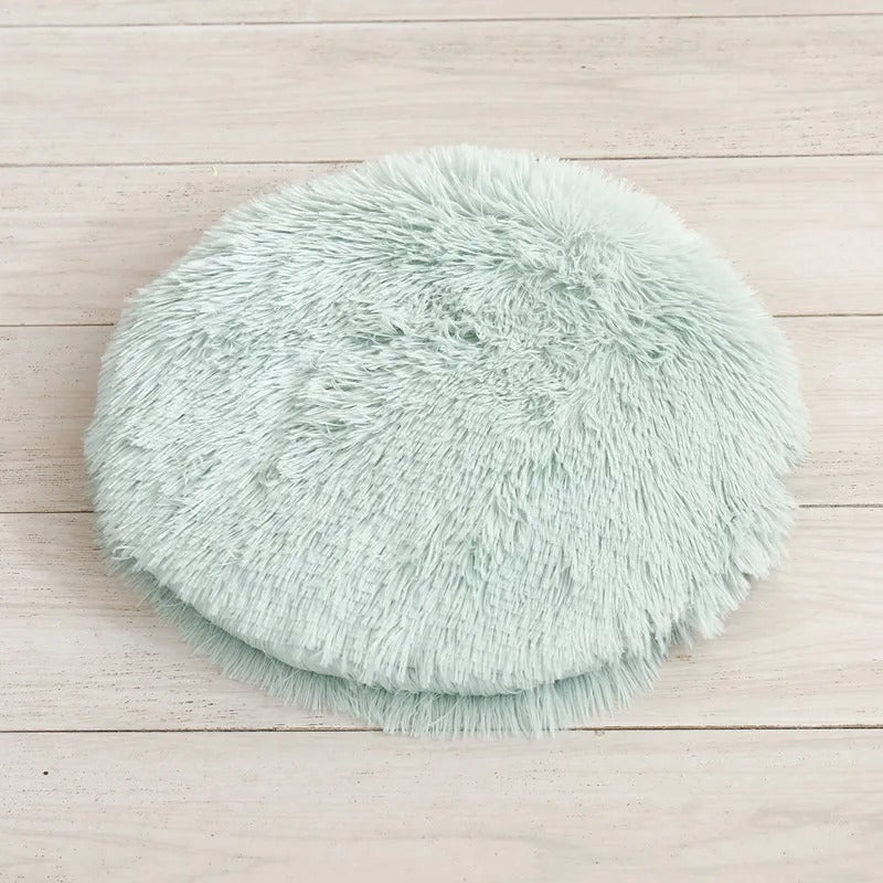 Coussin chat | Ergonomique - Bien - être du chat