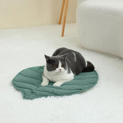 coussin chat | Royal Confort - Bien - être du chat