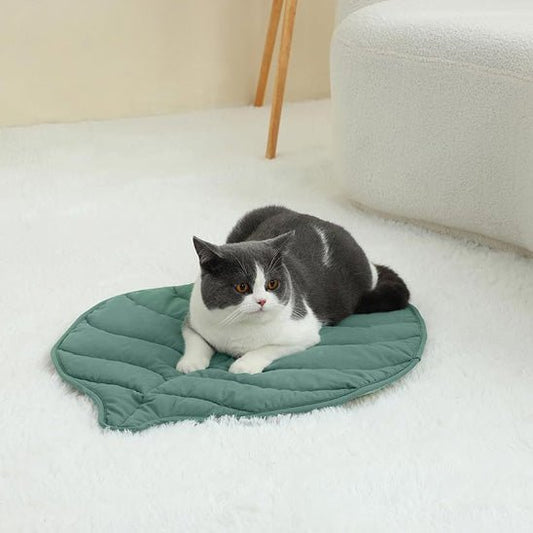 coussin chat | Royal Confort - Bien - être du chat