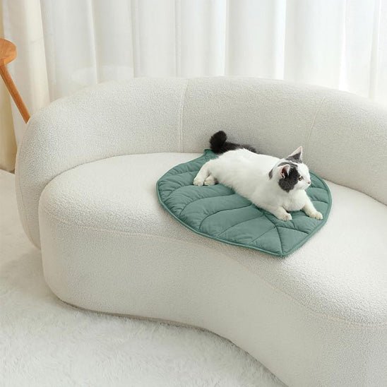 coussin chat | Royal Confort - Bien - être du chat