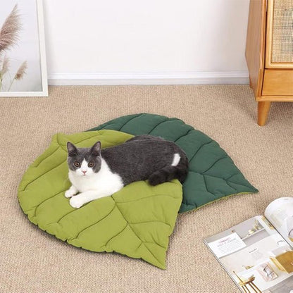 coussin chat | Royal Confort - Bien - être du chat