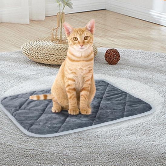 coussin chat | Ultra - doux - Bien - être du chat