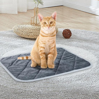 coussin chat | Ultra - doux - Bien - être du chat