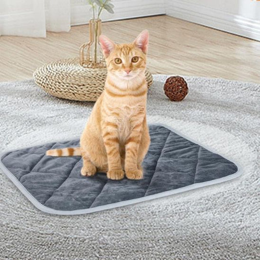 coussin chat | Ultra - doux - Bien - être du chat