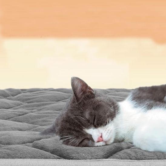 coussin chat | Ultra - doux - Bien - être du chat