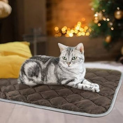 coussin chat | Ultra - doux - Bien - être du chat