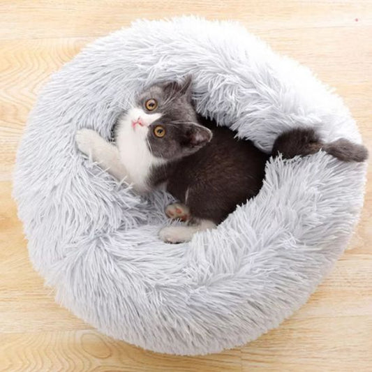 Coussin Chat | UltraConfort - Bien - être du chat