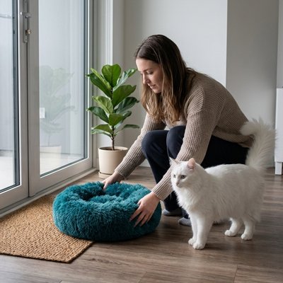 Coussin Chat vert rebords surélevés rembourrés