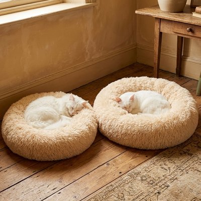 Coussin pour Chat beige confort plus