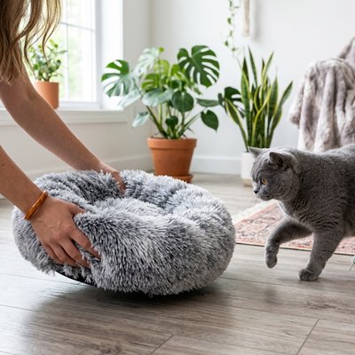 Coussin pour Chat gris avec appuie-tête
